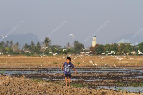 PR03_29032016_BANGAU