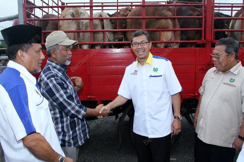 PR04_03102014_LEMBU_KORBAN