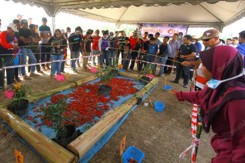PR04_05032017_ANGIN_TIMUR