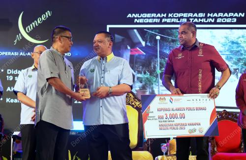 TUANKU SYED FAIZUDDIN PUTRA JAMALULLAIL