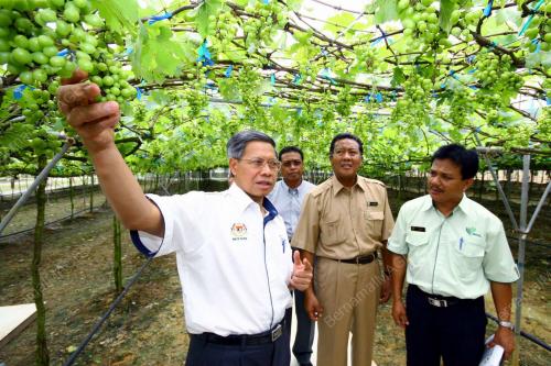 MUSTAPA MOHAMED