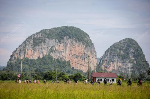 KAYUHAN MERDEKA
