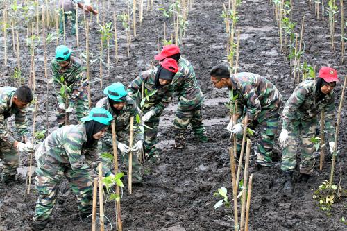 PR04_13112021_POKOK_BAKAU