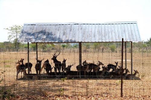 PR04_16032016_RUSA
