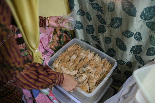 USAHAWAN PEKASAM