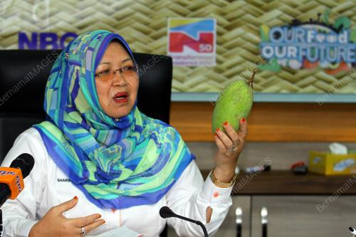 PR04_21032017_MANGGA_PERLIS
