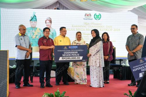 TUANKU SYED FAIZUDDIN PUTRA JAMALULLAIL