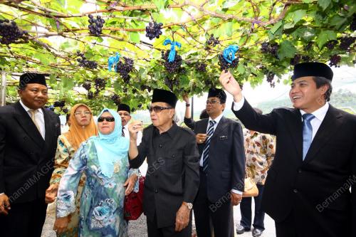 ABANG MUHAMMAD SALAHUDDIN ABANG BARIENG
