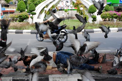 PR04_28042015_PENCINTA_BURUNG