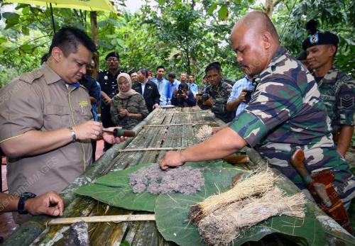 TUANKU SYED FAIZUDDIN PUTRA JAMALULLAIL