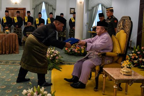 TUANKU SYED SIRAJUDDIN JAMALULLAIL