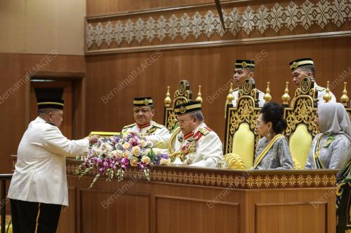 TUANKU SYED SIRAJUDDIN JAMALULLAIL