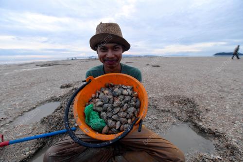 PESISIR PANTAI PULAU KETAM