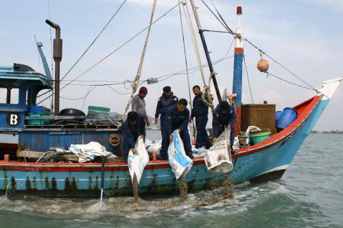 MARITIM RAMPAS BENIH KERANG