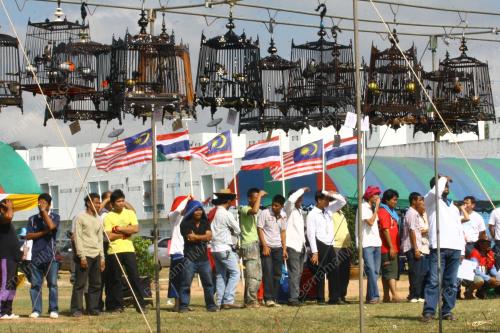 PERTANDINGAN BURUH MERBAH JAMBUL