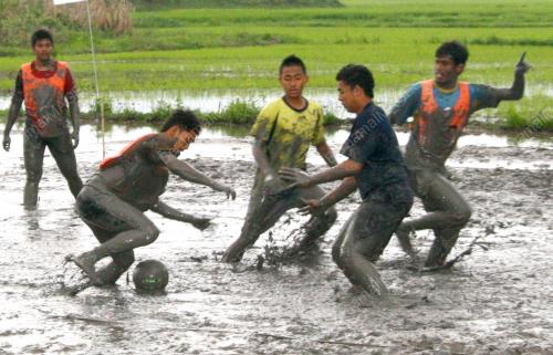 PERLIS WINTER WIND HARVEST FESTIVAL