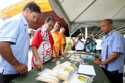 PR05_25042013_HARI_PELADANG