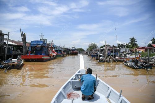 HARI ANTARABANGSA UNTUK PEMULIHARAN EKOSISTEM BAKAU