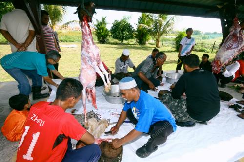 PR05_26102012_KORBAN