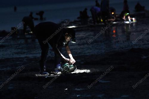 PESISIR PANTAI PULAU KETAM