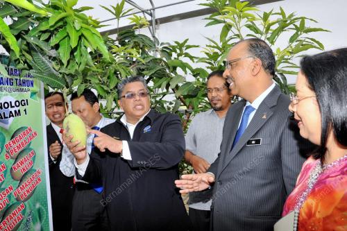 PR06_08012013_ALI_HAMSA