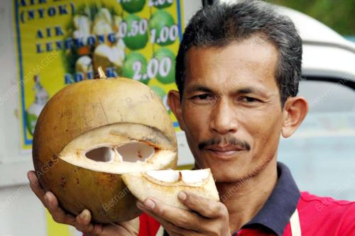 KELAPA