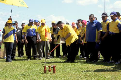 PR06_18012015_WOODBALL