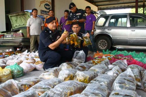 PR06_19012011_UPP_MINYAK