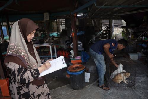 WAD KUARANTIN BUSTANA KUCING