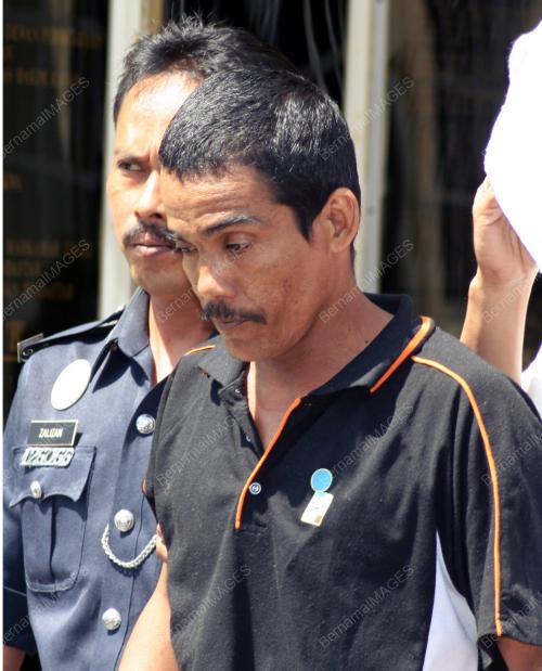 ROGOL ANAK KANDUNG