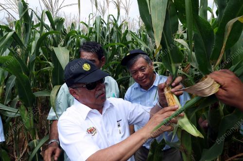 DATUK SERI MOHAMAD SABU