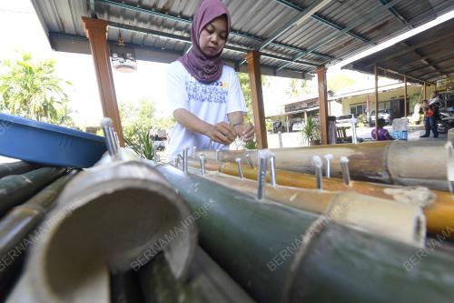 PELITA BULUH (PANJUT)