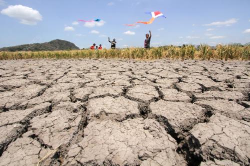 PR06_28022015_SAWAH_MEREKAH