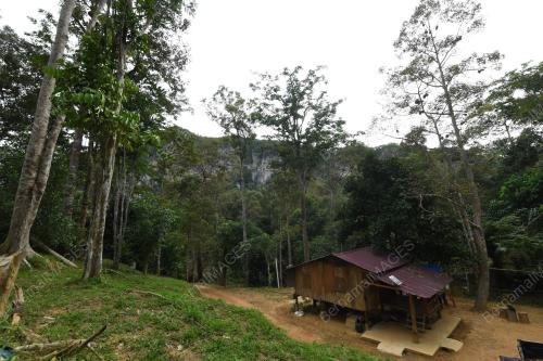 PEKEBUN DURIAN