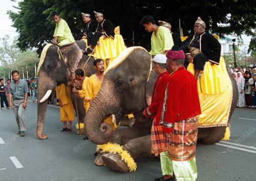 GAJAH