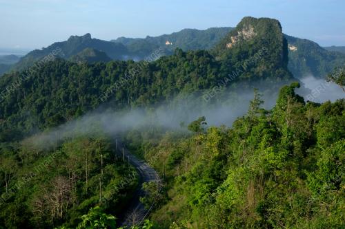WANG KELIAN