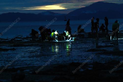 PESISIR PANTAI PULAU KETAM