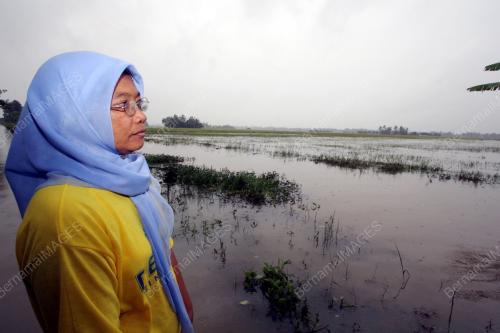SAWAH TENGGELAM