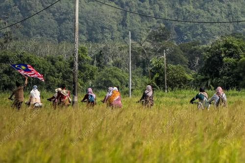 KAYUHAN MERDEKA