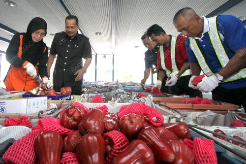 PR07_16012017_MAQIS_JAMBU