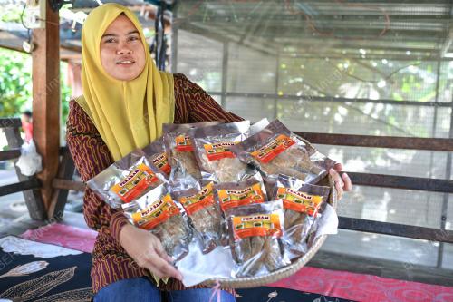 USAHAWAN PEKASAM