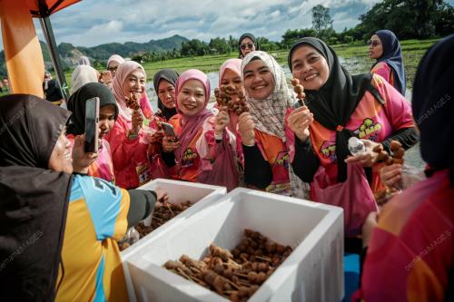 KARNIVAL D’BENDANG PERPADUAN 2026