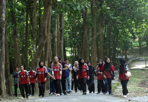 INSTITUT PENYELIDIKAN PERHUTANAN MALAYSIA (FRIM)