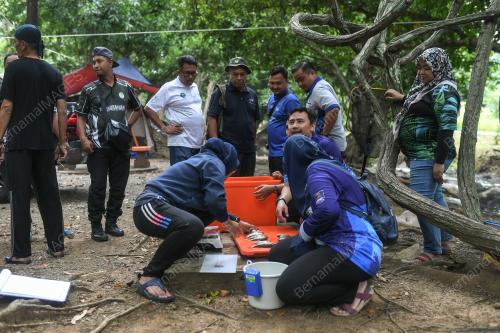 JABATAN HUTAN PERLIS