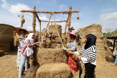 PESTA ANGIN TIMUR PERLIS