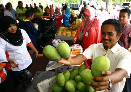 KARNIVAL HARUMANIS