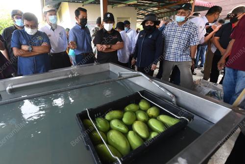 DATUK SERI RONALD KIANDEE