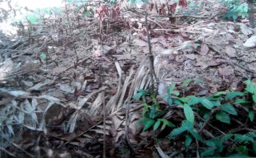 PR08_15052025_KUBUR