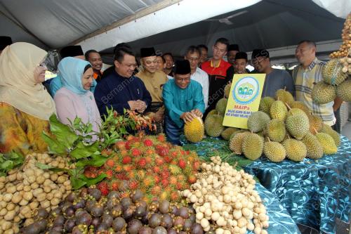 PR08_31072015_MAIPS_RAYA