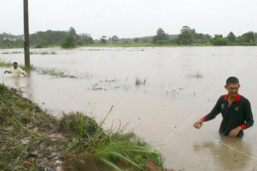 BANJIR DI PERLIS